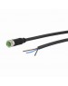 CONNETTORE M08 3PIN CAVO 5MT ASSIALE