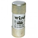 Fusibili 22x58 gG 125A Rapidi